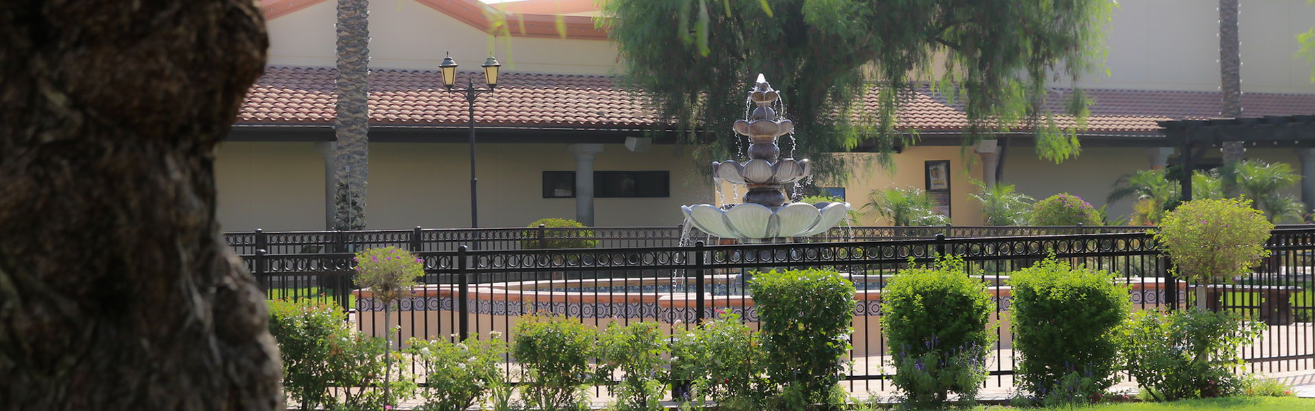 Our History & Mission